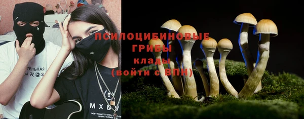 МДПВ Протвино