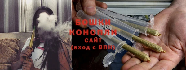 шишки Ростов