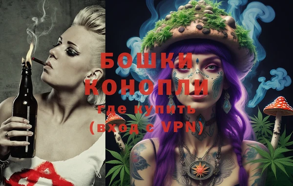прущий лед Рославль