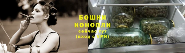 крисы Россошь